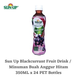 24Bottles SUN UP READY-TO-DRINK Blackcurrant Fruit Drink