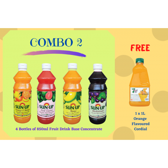 Combo 2 (4 bottles fruit drink base concentrate) Combo 2 (4 bottles fruit drink base concentrate)