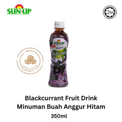 Sun Up 350ml Blackcurrant Ready-To-Drink Fruit Drink